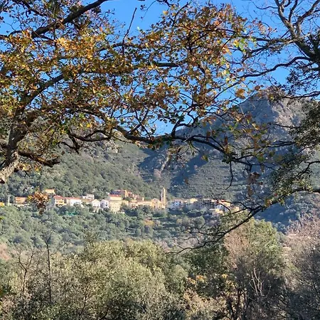 Casa Basgiu, Avec Balcon Et Table D'hotes