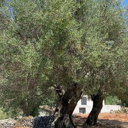 Casa Basgiu, Avec Balcon Bed & Breakfast 3*