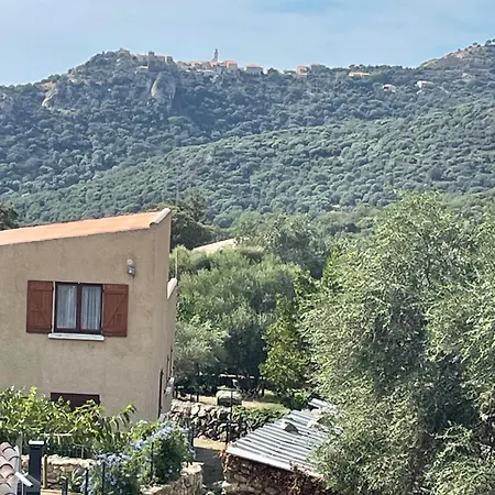 Casa Basgiu, Avec Balcon Et Table D'hotes Zilia