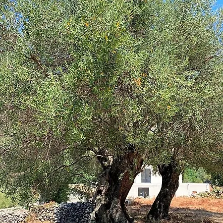 Casa Basgiu, Avec Balcon 3* Zilia