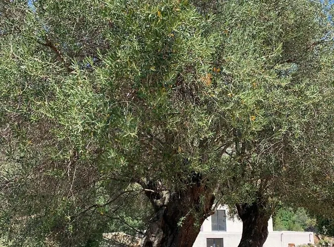 Casa Basgiu, Avec Balcon Отель типа 